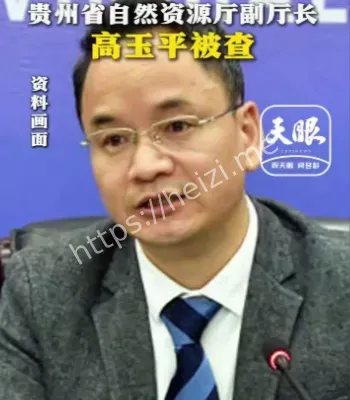 高玉平任上被查